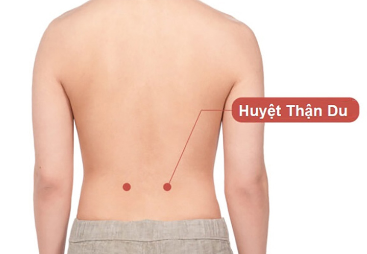 Day huyệt Thận Du - Dưỡng sinh kinh lạc cơ thể