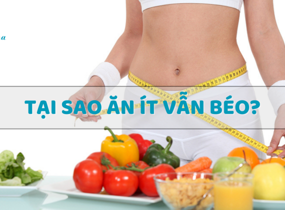 Tại sao ăn ít vẫn béo?