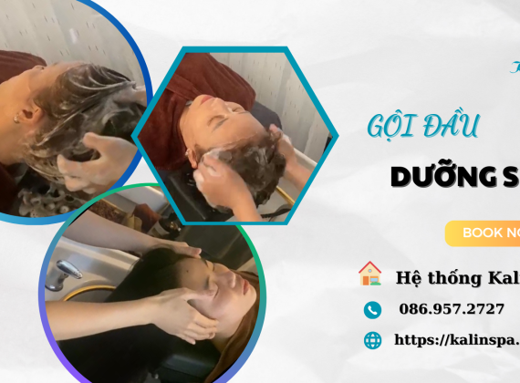 Gội đầu dưỡng sinh