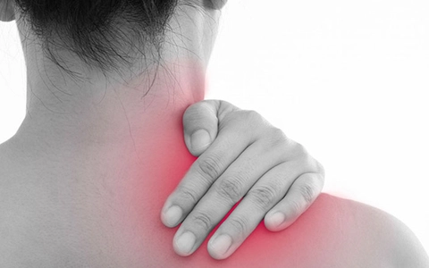 dau-co-ava-1666522892510902483586-0-0-456-730-crop-1666522897967343467848