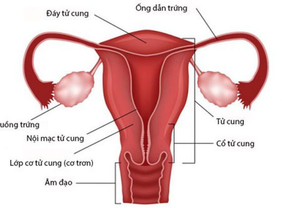 ???????????????????????????????????????????????????????????????????????????