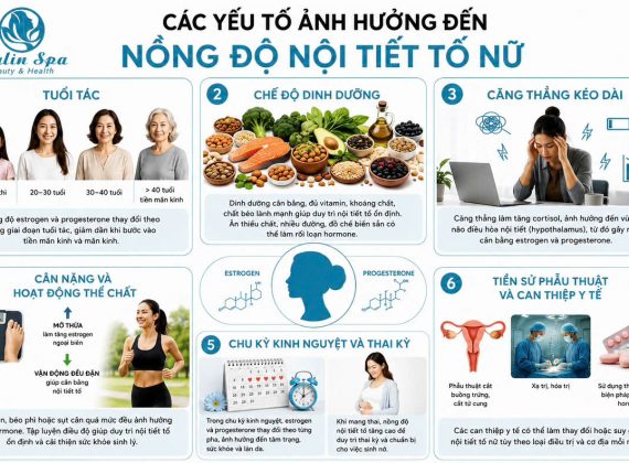 Các yếu tố ảnh hưởng đến nồng độ nội tiết tố nữ