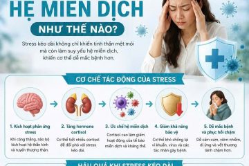 Stress ảnh hưởng đến hệ miễn dịch như thế n&agrave;o?