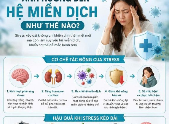 Stress ảnh hưởng đến hệ miễn dịch như thế nào?