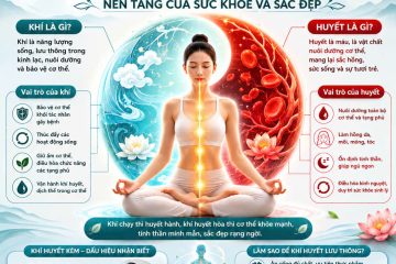 Kh&iacute; v&agrave; Huyết l&agrave; g&igrave;?
